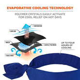 Ergodyne - Chill-Its Evaporative, Cooling Bandana | 12307